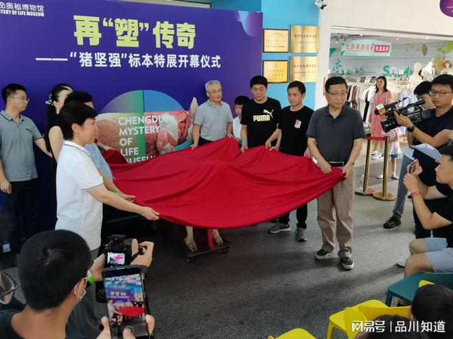 加強(qiáng)品牌宣傳力度2024媒體矩陣新啟航