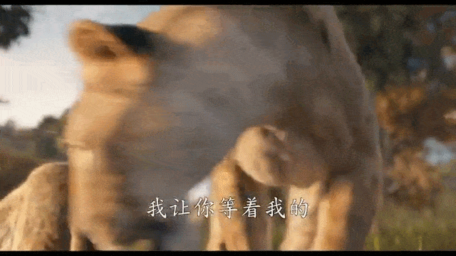 我要住在電影院！！2024年末動畫電影大盤點??！(圖33)