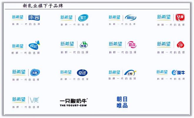 九游娛樂：半年狂攬53億永續(xù)成長消費(fèi)龍頭未來十年無爭議！(圖4)