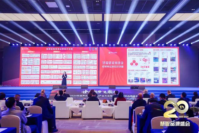 廿載逐夢更敢為！2024聲光視訊智聯(lián)產(chǎn)業(yè)大會(huì)盛大舉辦！(圖13)