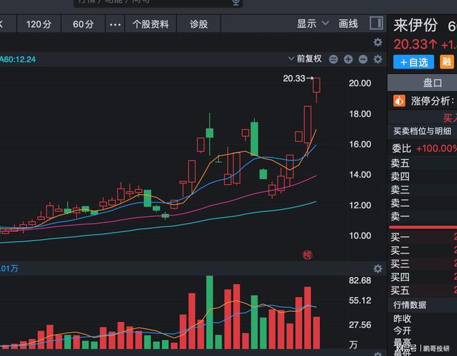 整個板塊全部漲停了小紅書概念股核心是這三條