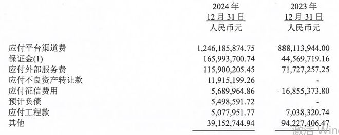 從持牌消金2024年報看這幾家平臺業(yè)績上漲的原因(圖1)